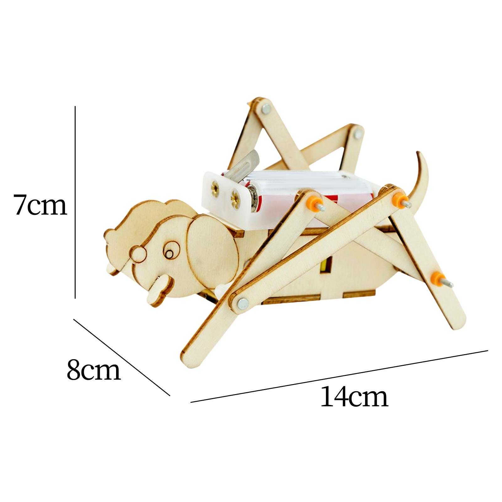 ชุดโมเดลไม้ DIY ชุดวิทยาศาสตร์ - Science Project Toys Making บทวิจารณ์และราคา