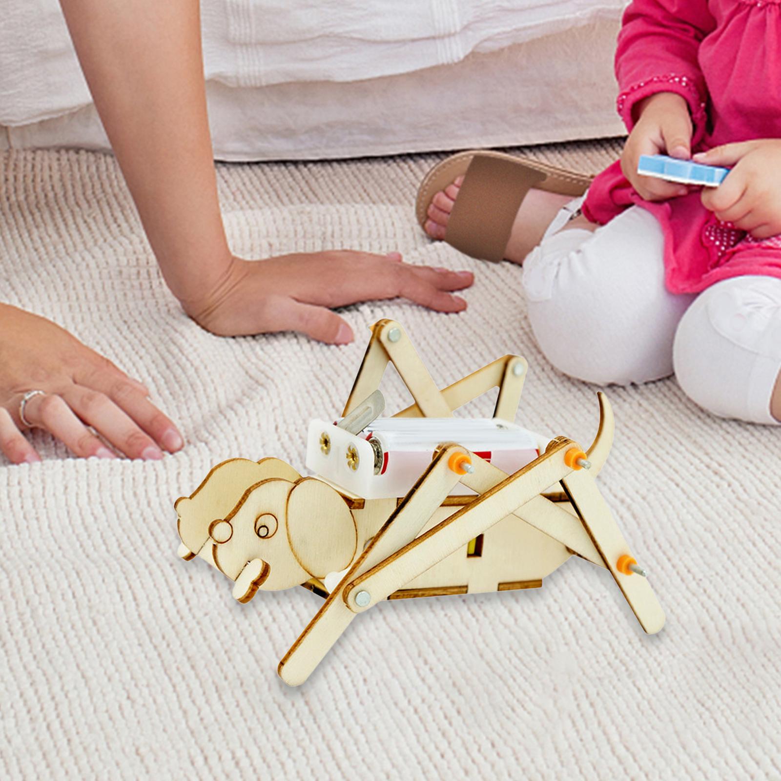 ชุดโมเดลไม้ DIY ชุดวิทยาศาสตร์ - Science Project Toys Making บทวิจารณ์และราคา