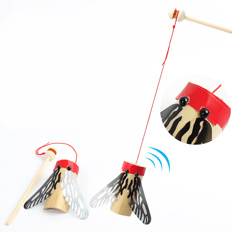 ของเล่นสร้างเสียงจั๊กจั่นทำจาก - Science Project Toys Making บทวิจารณ์และราคา
